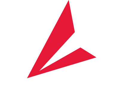 BSN LOGO